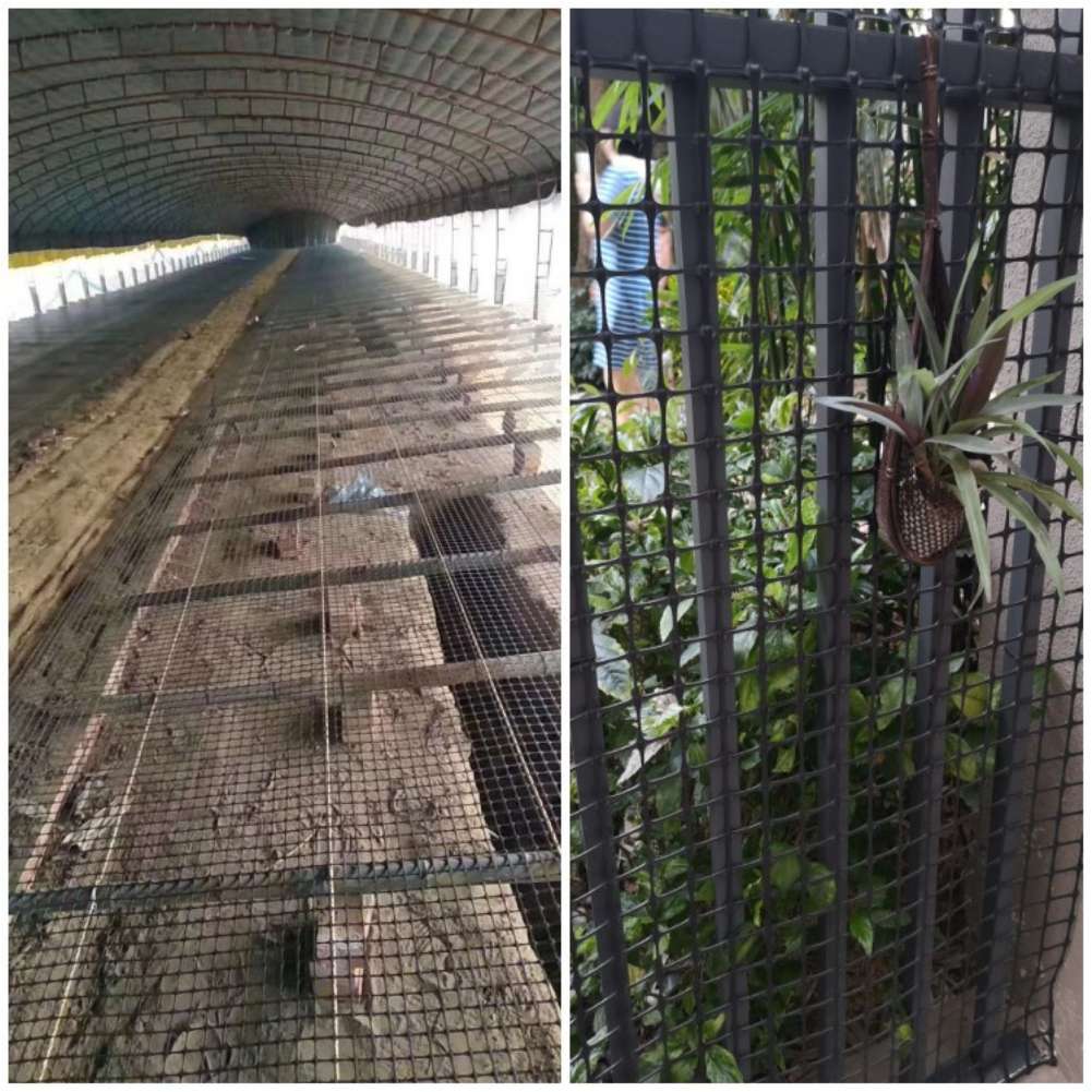 Tuinrooster gaas zwart plastic - Rabbit Cage Wire recensie en prijs